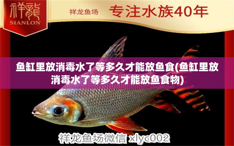 魚缸里放消毒水了等多久才能放魚食(魚缸里放消毒水了等多久才能放魚食物) 元寶鳳凰魚專用魚糧