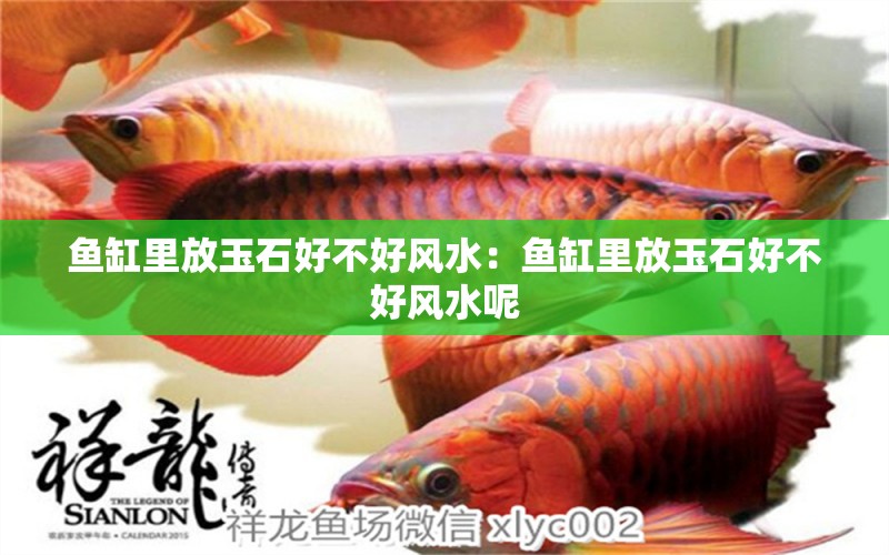 魚(yú)缸里放玉石好不好風(fēng)水：魚(yú)缸里放玉石好不好風(fēng)水呢 魚(yú)缸風(fēng)水