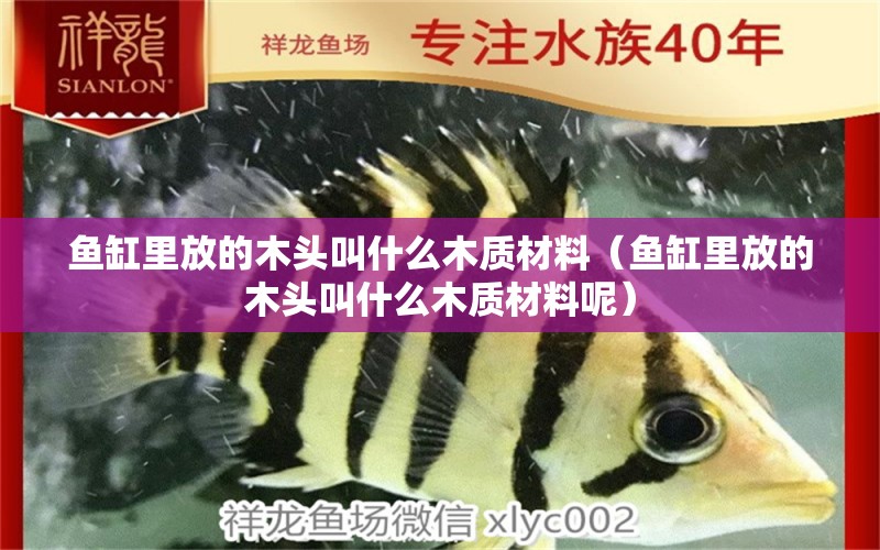 魚缸里放的木頭叫什么木質(zhì)材料（魚缸里放的木頭叫什么木質(zhì)材料呢）