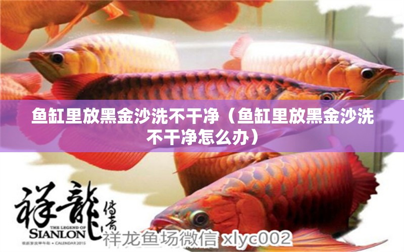 魚缸里放黑金沙洗不干凈（魚缸里放黑金沙洗不干凈怎么辦）