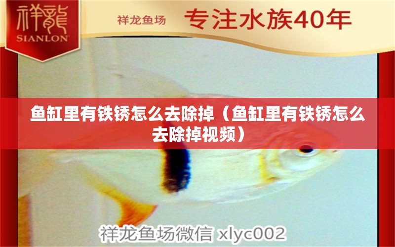 魚缸里有鐵銹怎么去除掉（魚缸里有鐵銹怎么去除掉視頻）