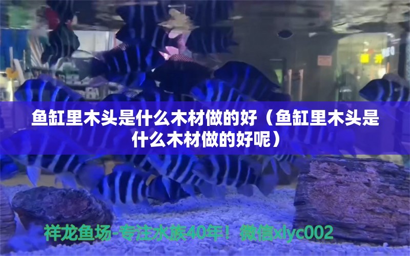 魚缸里木頭是什么木材做的好（魚缸里木頭是什么木材做的好呢） 其他品牌魚缸