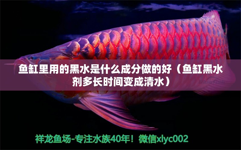 魚缸里用的黑水是什么成分做的好（魚缸黑水劑多長時間變成清水） 廣州觀賞魚批發(fā)市場