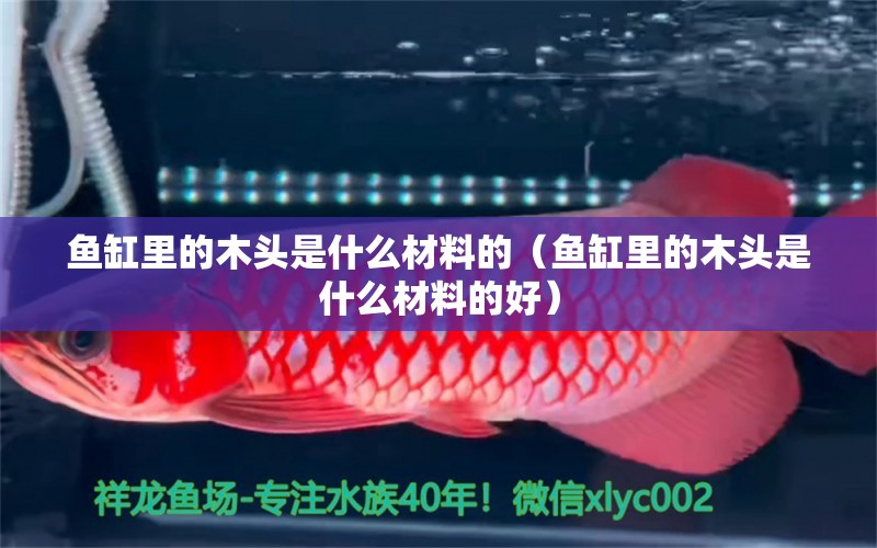 魚缸里的木頭是什么材料的（魚缸里的木頭是什么材料的好）