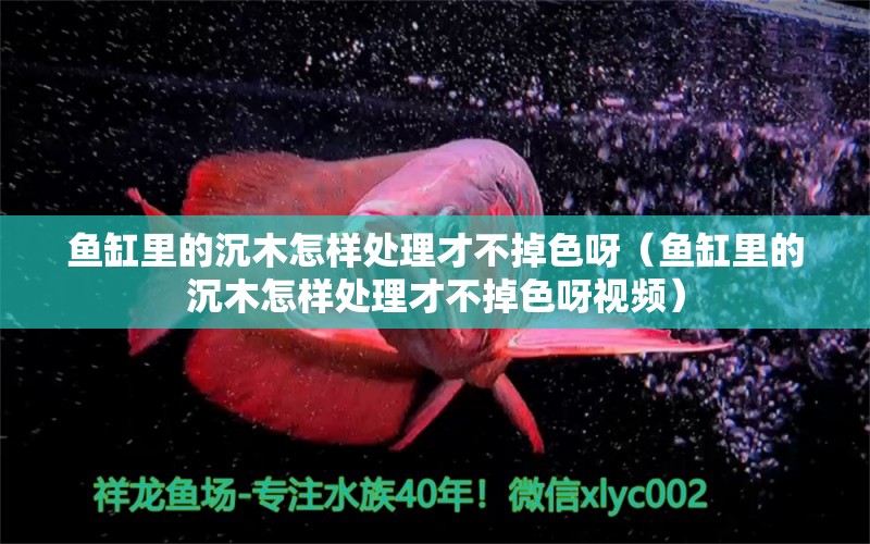 魚缸里的沉木怎樣處理才不掉色呀（魚缸里的沉木怎樣處理才不掉色呀視頻）