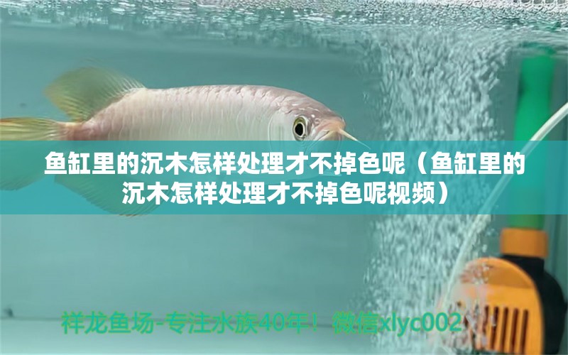 魚缸里的沉木怎樣處理才不掉色呢（魚缸里的沉木怎樣處理才不掉色呢視頻）