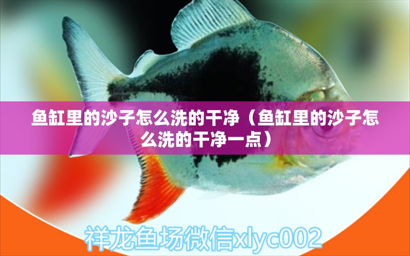 魚(yú)缸里的沙子怎么洗的干凈（魚(yú)缸里的沙子怎么洗的干凈一點(diǎn)）