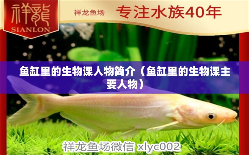 魚缸里的生物課人物簡(jiǎn)介（魚缸里的生物課主要人物）