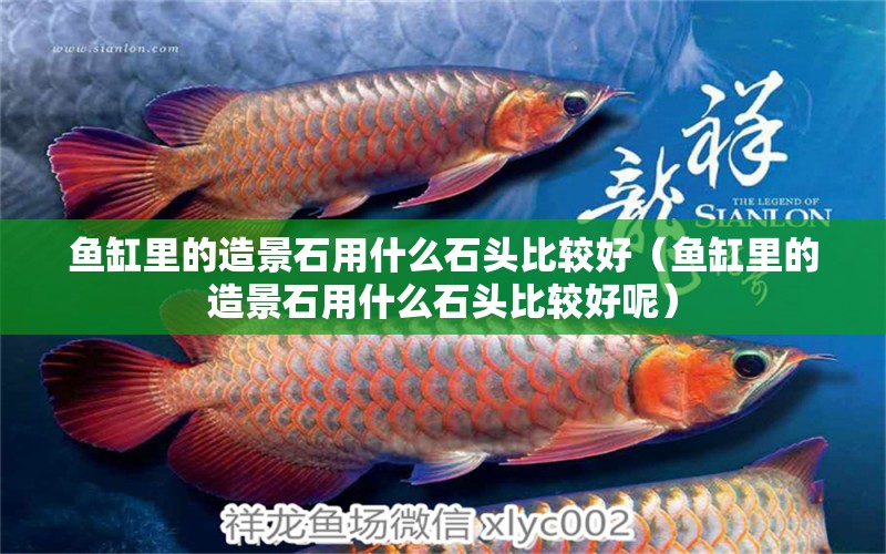 魚缸里的造景石用什么石頭比較好（魚缸里的造景石用什么石頭比較好呢）