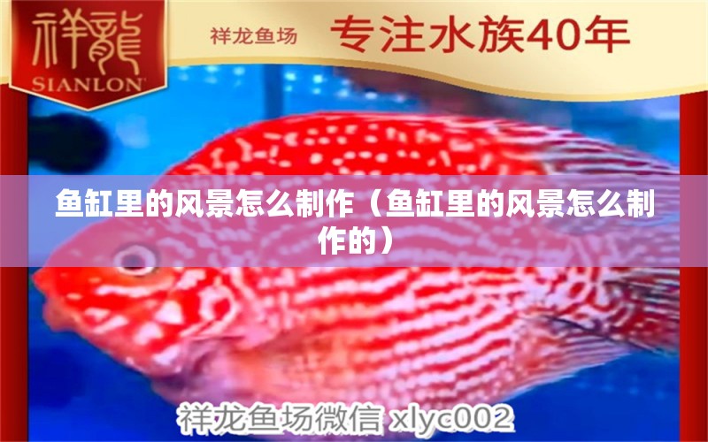 魚(yú)缸里的風(fēng)景怎么制作（魚(yú)缸里的風(fēng)景怎么制作的） 印尼虎苗