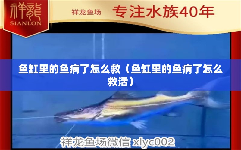 魚缸里的魚病了怎么救（魚缸里的魚病了怎么救活）