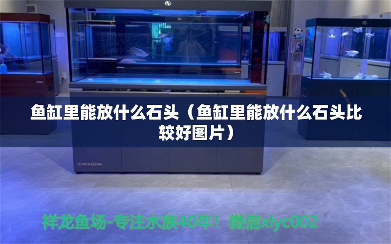 魚缸里能放什么石頭（魚缸里能放什么石頭比較好圖片） 其他品牌魚缸