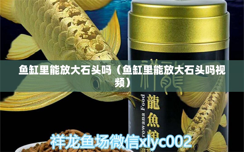 魚缸里能放大石頭嗎（魚缸里能放大石頭嗎視頻） 其他品牌魚缸