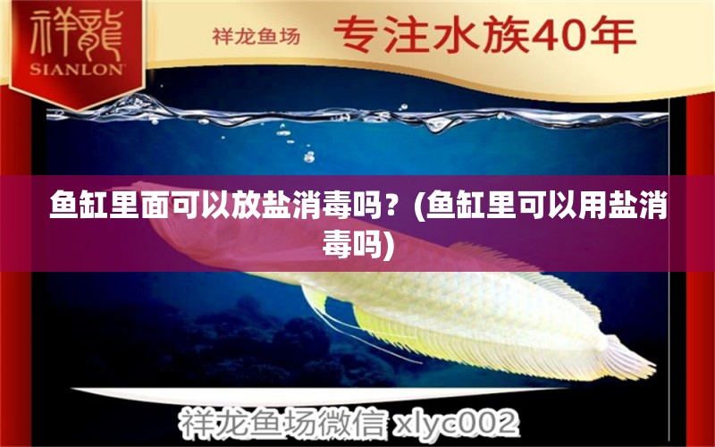 魚缸里面可以放鹽消毒嗎？(魚缸里可以用鹽消毒嗎) 孵化器