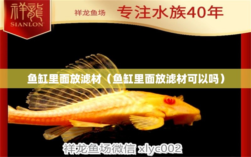 魚缸里面放濾材（魚缸里面放濾材可以嗎） 錦鯉魚