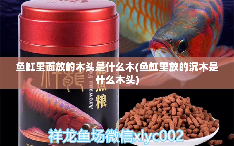 魚(yú)缸里面放的木頭是什么木(魚(yú)缸里放的沉木是什么木頭)