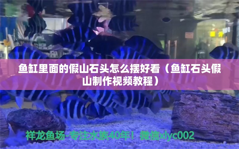 魚缸里面的假山石頭怎么擺好看（魚缸石頭假山制作視頻教程） 觀賞魚批發(fā)