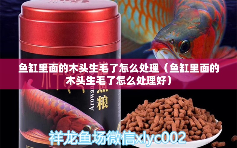 魚缸里面的木頭生毛了怎么處理（魚缸里面的木頭生毛了怎么處理好）