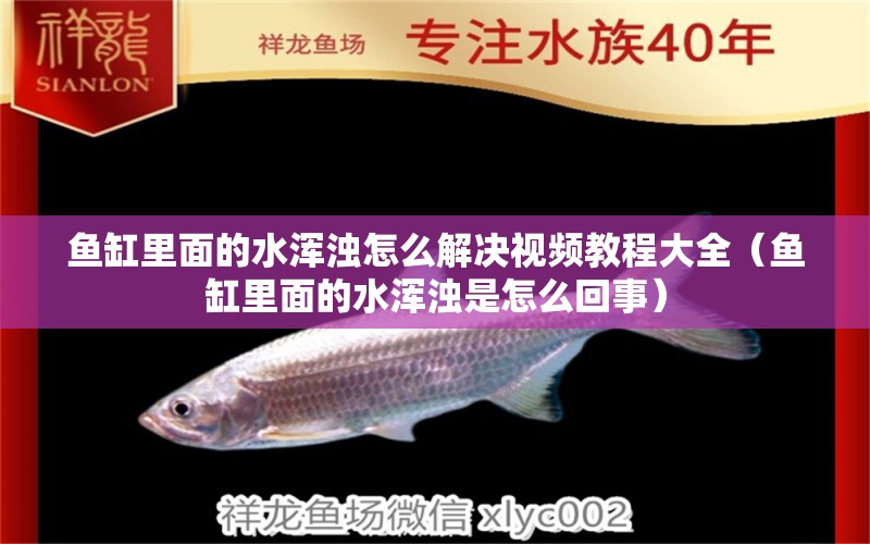 魚缸里面的水渾濁怎么解決視頻教程大全（魚缸里面的水渾濁是怎么回事）