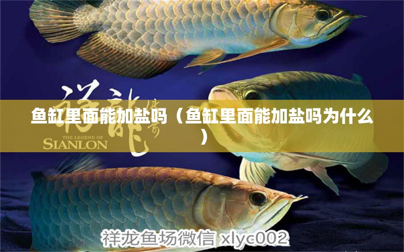 魚缸里面能加鹽嗎（魚缸里面能加鹽嗎為什么）