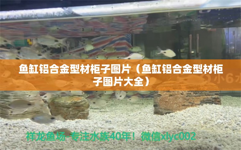 魚缸鋁合金型材柜子圖片（魚缸鋁合金型材柜子圖片大全）