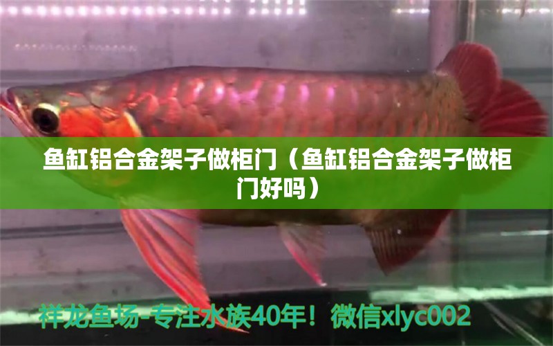 魚缸鋁合金架子做柜門（魚缸鋁合金架子做柜門好嗎）