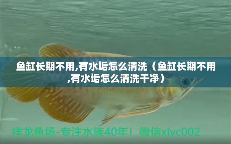 魚缸長期不用,有水垢怎么清洗（魚缸長期不用,有水垢怎么清洗干凈）