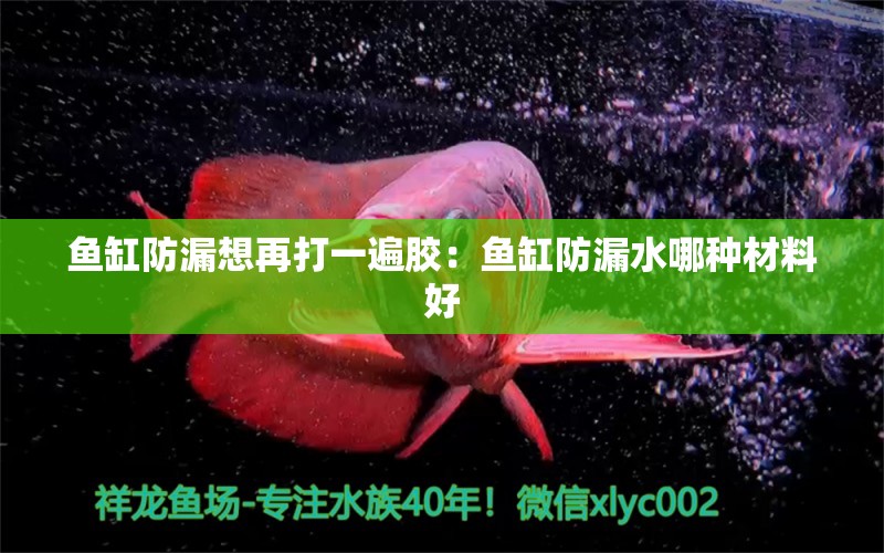 魚缸防漏想再打一遍膠：魚缸防漏水哪種材料好