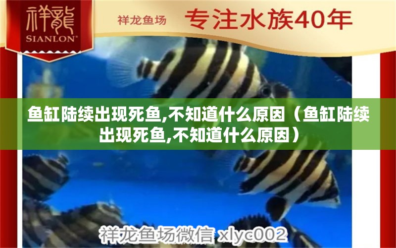 魚缸陸續(xù)出現(xiàn)死魚,不知道什么原因（魚缸陸續(xù)出現(xiàn)死魚,不知道什么原因）