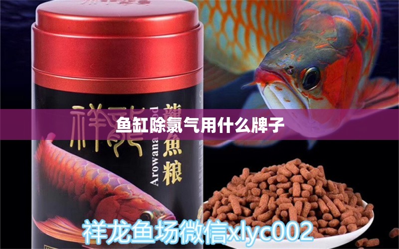 魚缸除氯氣用什么牌子