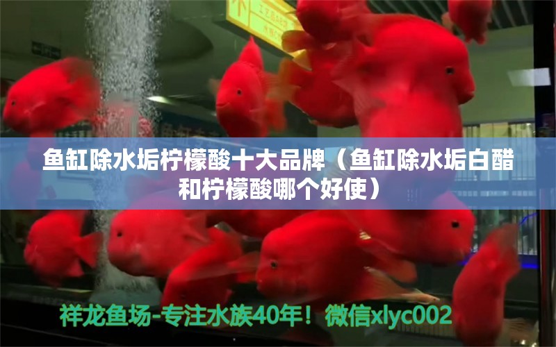 魚缸除水垢檸檬酸十大品牌（魚缸除水垢白醋和檸檬酸哪個好使） 其他品牌魚缸