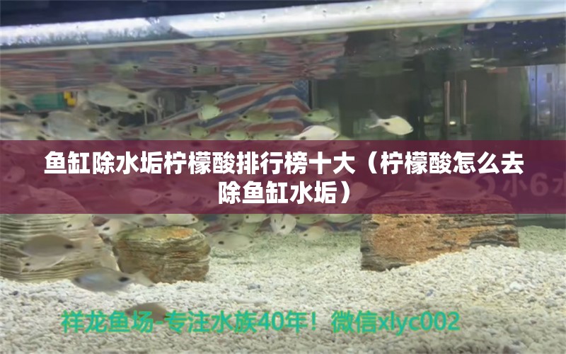 魚(yú)缸除水垢檸檬酸排行榜十大（檸檬酸怎么去除魚(yú)缸水垢）