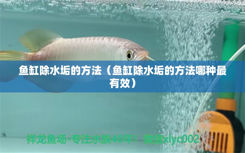 魚缸除水垢的方法（魚缸除水垢的方法哪種最有效） 其他品牌魚缸