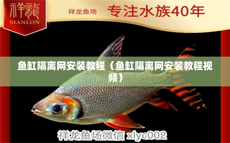 魚缸隔離網(wǎng)安裝教程（魚缸隔離網(wǎng)安裝教程視頻）