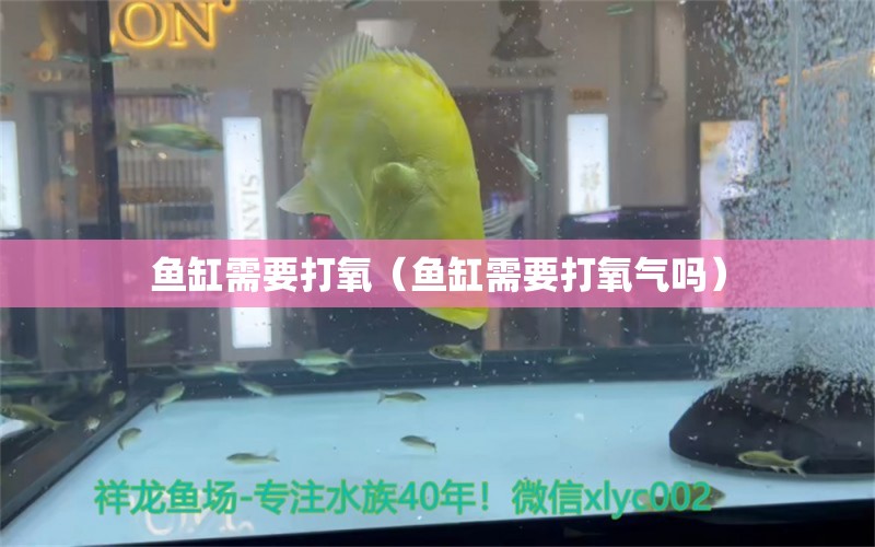 魚缸需要打氧（魚缸需要打氧氣嗎）