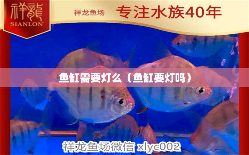 魚缸需要燈么（魚缸要燈嗎）