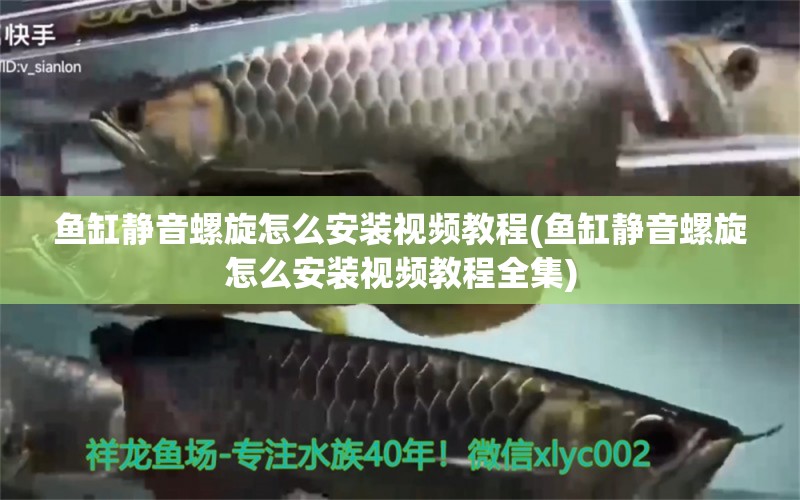 魚缸靜音螺旋怎么安裝視頻教程(魚缸靜音螺旋怎么安裝視頻教程全集) 元寶鳳凰魚專用魚糧 第1張