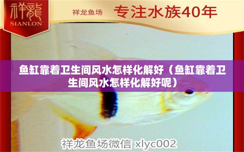 魚缸靠著衛(wèi)生間風水怎樣化解好（魚缸靠著衛(wèi)生間風水怎樣化解好呢）