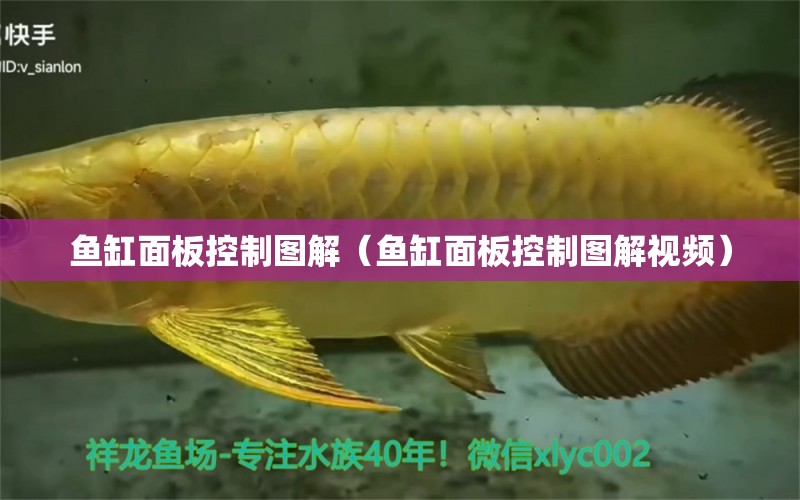 魚缸面板控制圖解（魚缸面板控制圖解視頻） 祥龍水族醫(yī)院