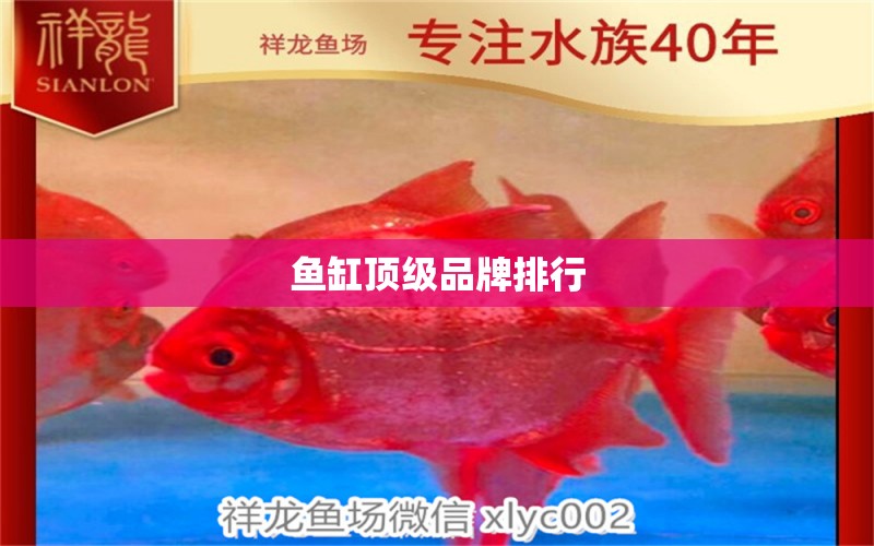 魚缸頂級(jí)品牌排行