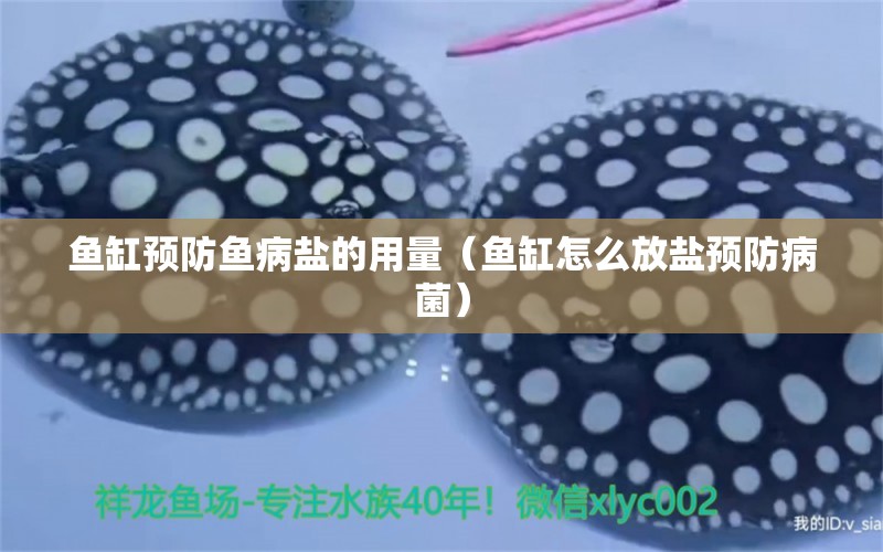 魚缸預(yù)防魚病鹽的用量（魚缸怎么放鹽預(yù)防病菌）