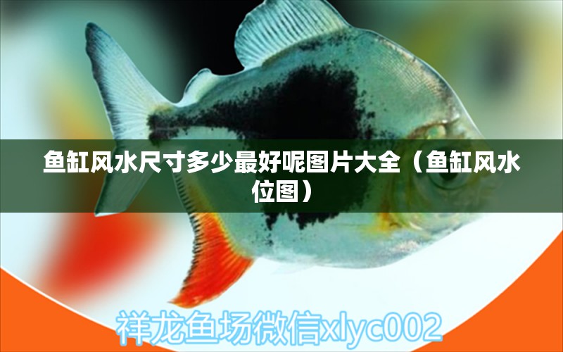 魚缸風水尺寸多少最好呢圖片大全（魚缸風水位圖）