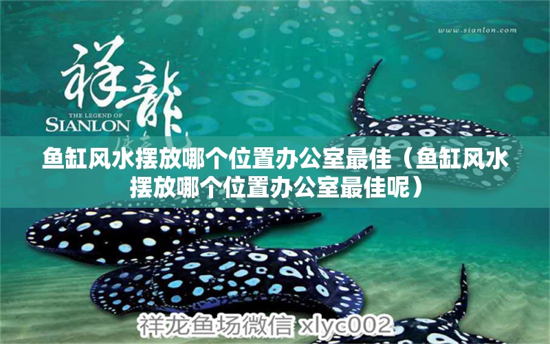 魚缸風(fēng)水?dāng)[放哪個(gè)位置辦公室最佳（魚缸風(fēng)水?dāng)[放哪個(gè)位置辦公室最佳呢）