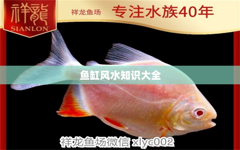 魚缸風(fēng)水知識(shí)大全