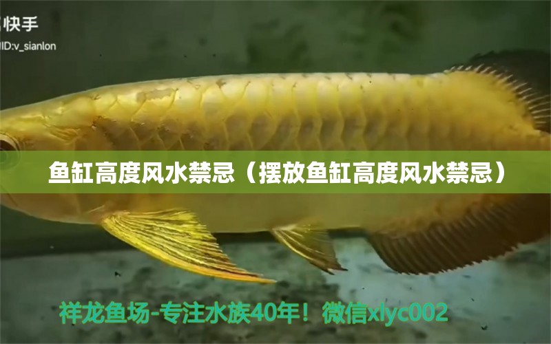 魚缸高度風(fēng)水禁忌（擺放魚缸高度風(fēng)水禁忌）