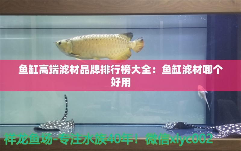 魚缸高端濾材品牌排行榜大全：魚缸濾材哪個好用 廣州水族批發(fā)市場 第2張