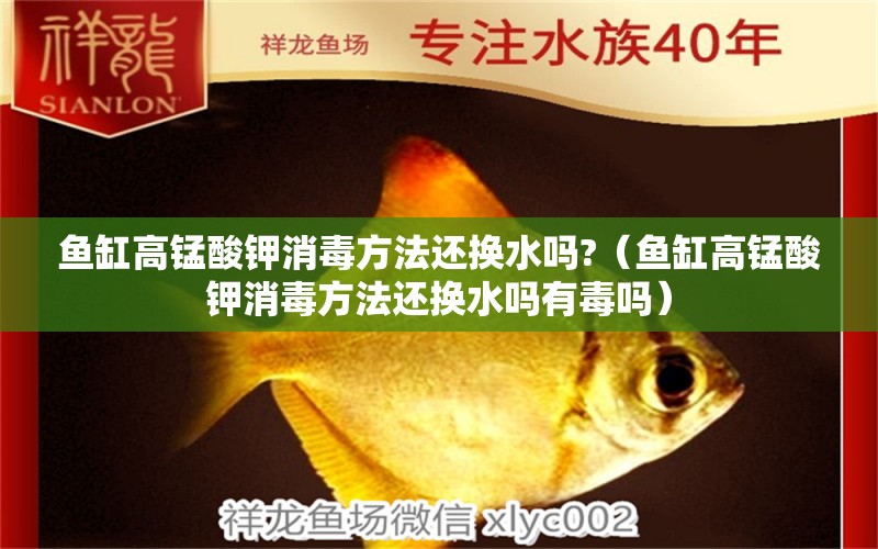 魚缸高錳酸鉀消毒方法還換水嗎?（魚缸高錳酸鉀消毒方法還換水嗎有毒嗎） 觀賞魚水族批發(fā)市場