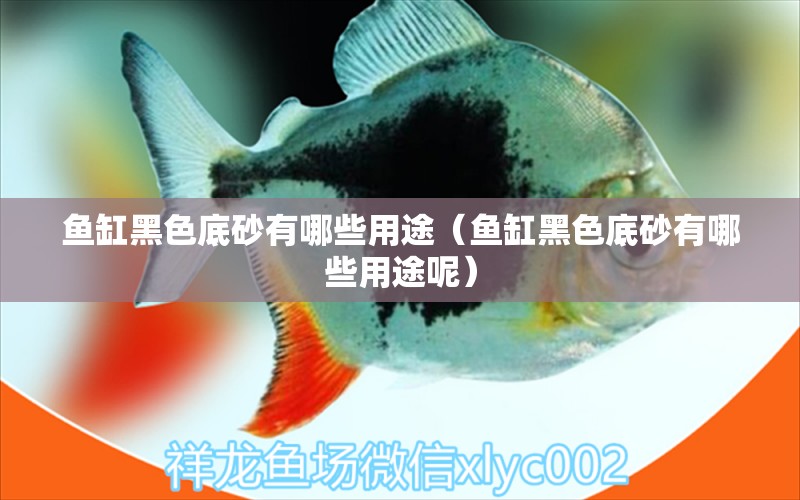 魚缸黑色底砂有哪些用途（魚缸黑色底砂有哪些用途呢） 狗仔招財(cái)貓魚