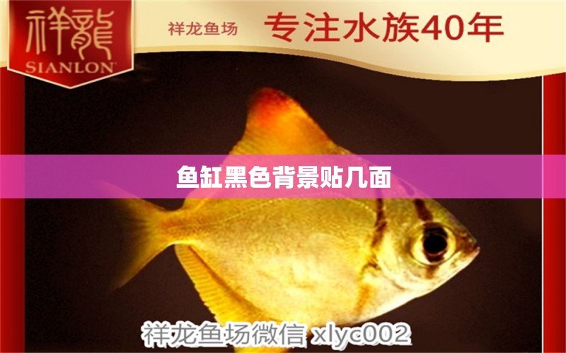 魚缸黑色背景貼幾面 祥龍魚場