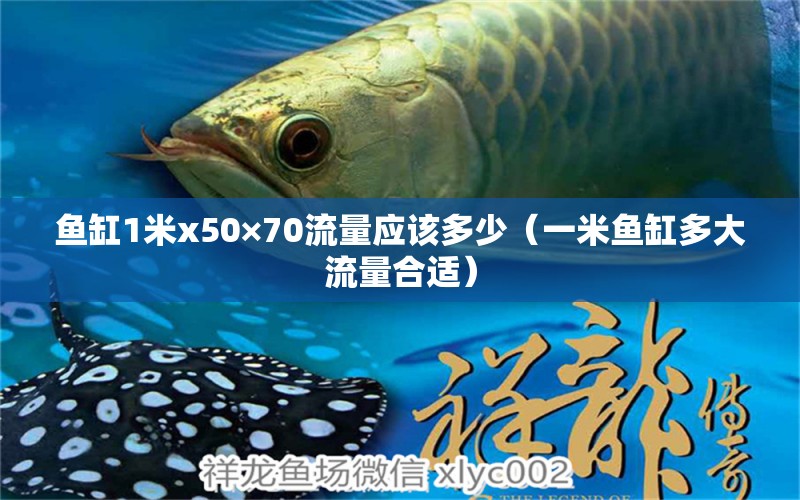 魚缸1米x50×70流量應該多少（一米魚缸多大流量合適）